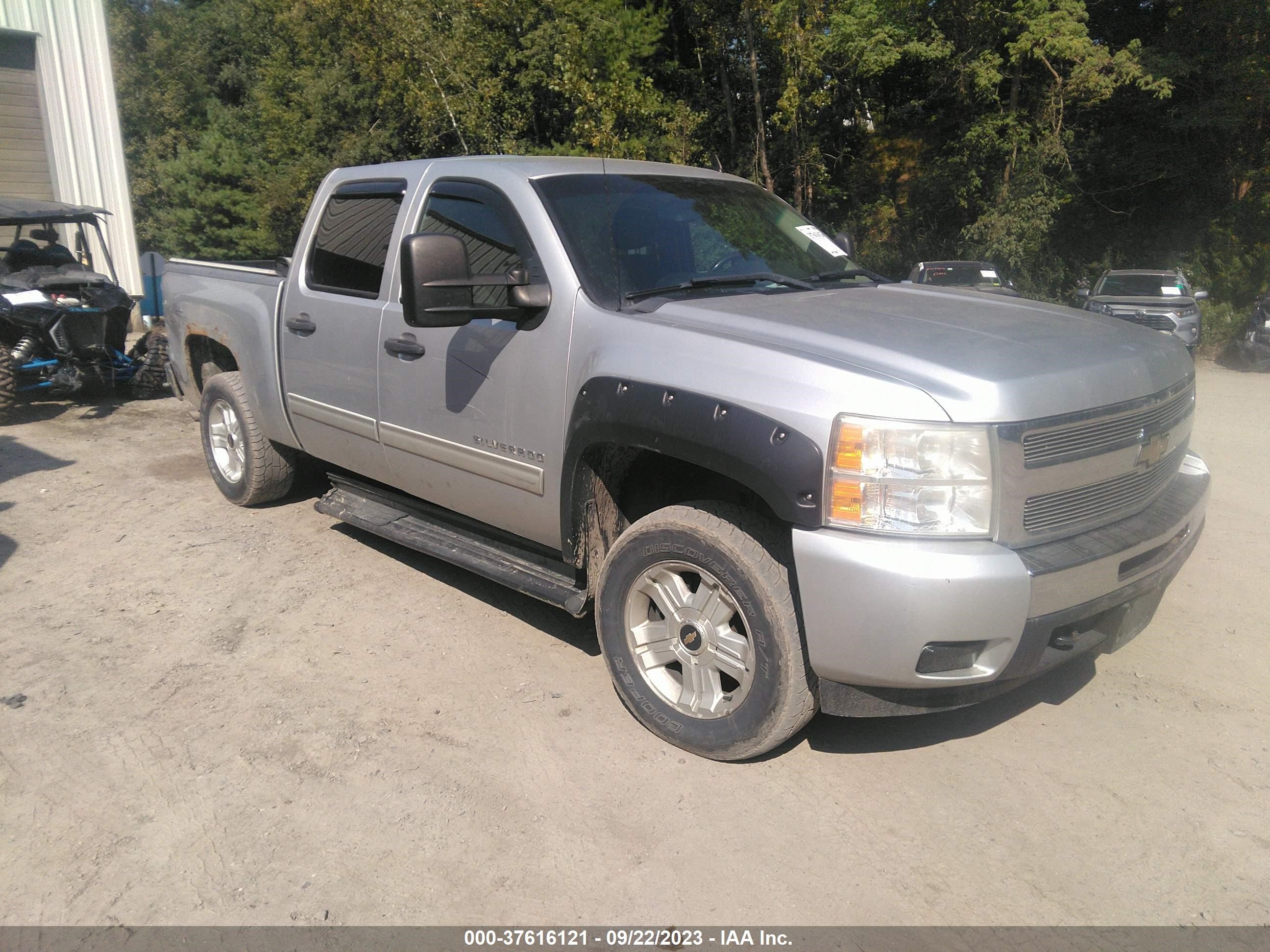 CHEVROLET SILVERADO 2011 1gcpkse35bf146238