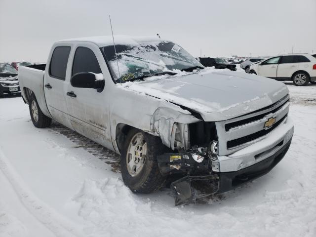 CHEVROLET SILVERADO 0 1gcpkse35bf167123