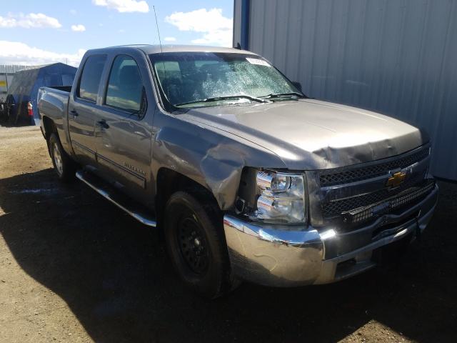 CHEVROLET SILVERADO 2012 1gcpkse71cf154406