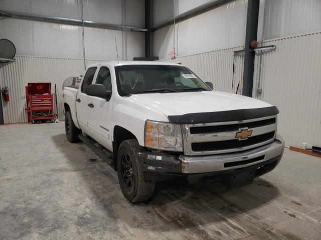 CHEVROLET SILVERADO 2012 1gcpkse74cf180059