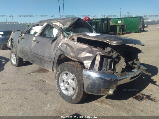 CHEVROLET SILVERADO 1500 2012 1gcpkse74cf230474