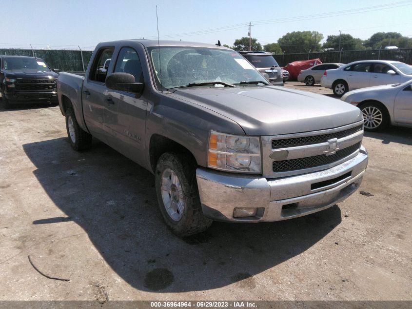 CHEVROLET SILVERADO 2012 1gcpkse77cf215001