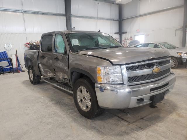 CHEVROLET SILVERADO 2012 1gcpkse79cf206106