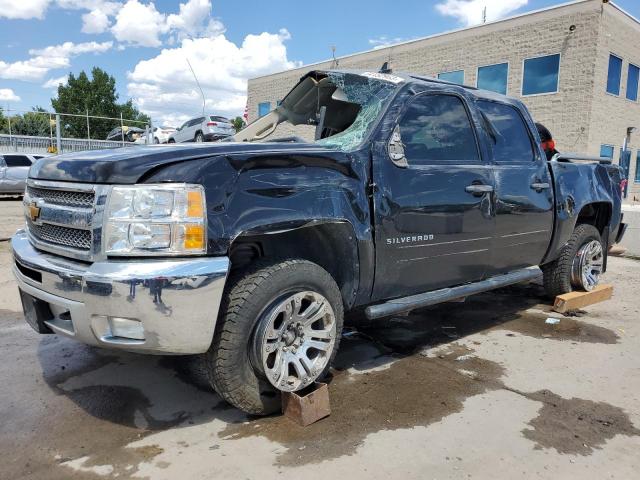 CHEVROLET SILVERADO 2012 1gcpkse7xcf172029