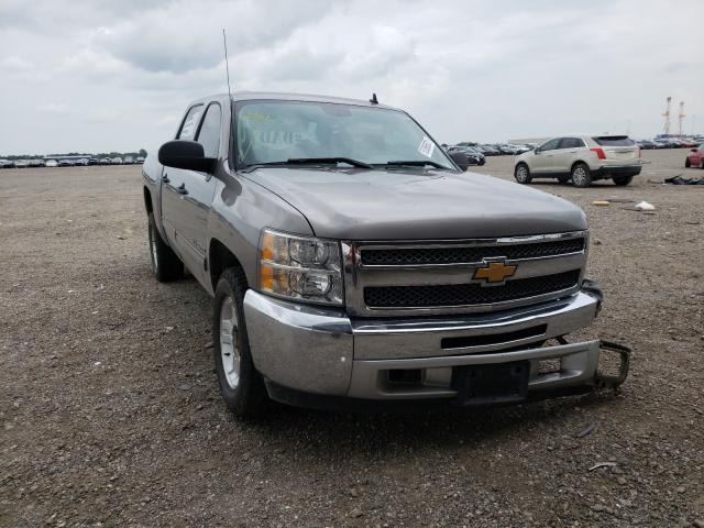 CHEVROLET SILVERADO 2012 1gcpkse7xcf228275