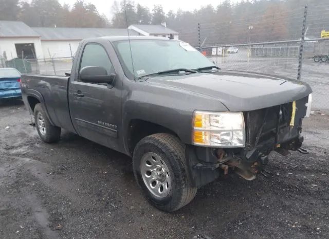 CHEVROLET SILVERADO 2010 1gcpksea9az195664