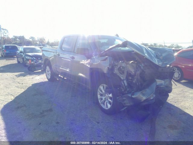 CHEVROLET SILVERADO 1500 2019 1gcpwbef3kz328520