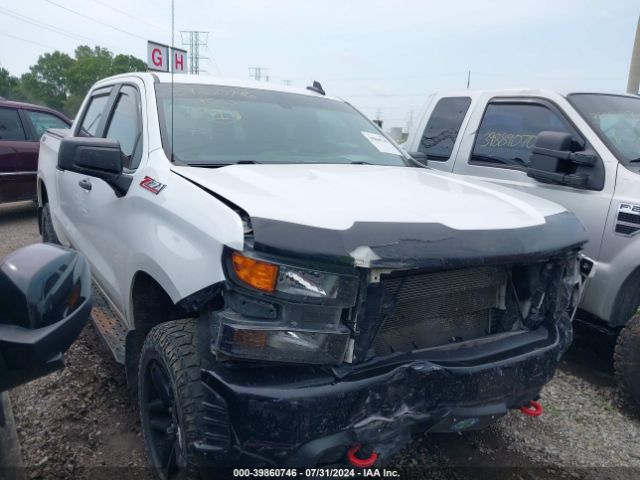 CHEVROLET SILVERADO 2019 1gcpycef5kz177454