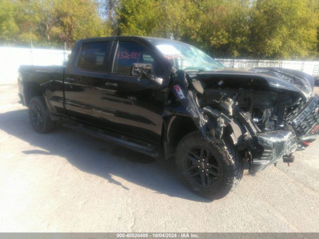 CHEVROLET SILVERADO 2020 1gcpycef8lz185517