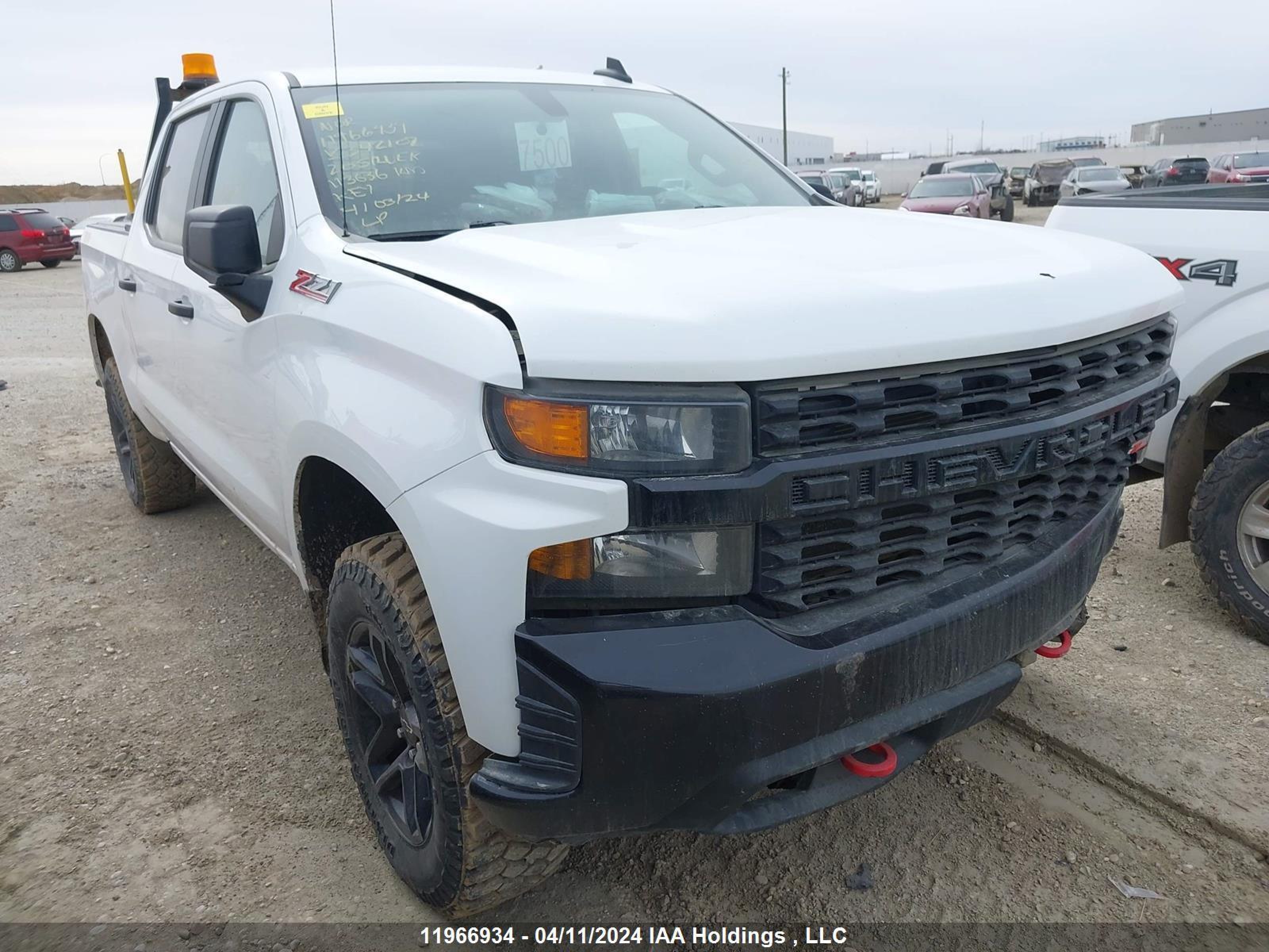 CHEVROLET SILVERADO 2020 1gcpycef9lz342102