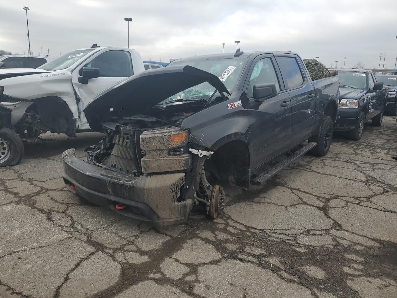 CHEVROLET SILVERADO 2021 1gcpycefxmz343809