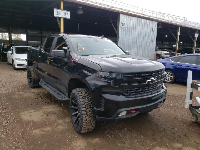 CHEVROLET SILVERADO 2019 1gcpyfed1kz241392