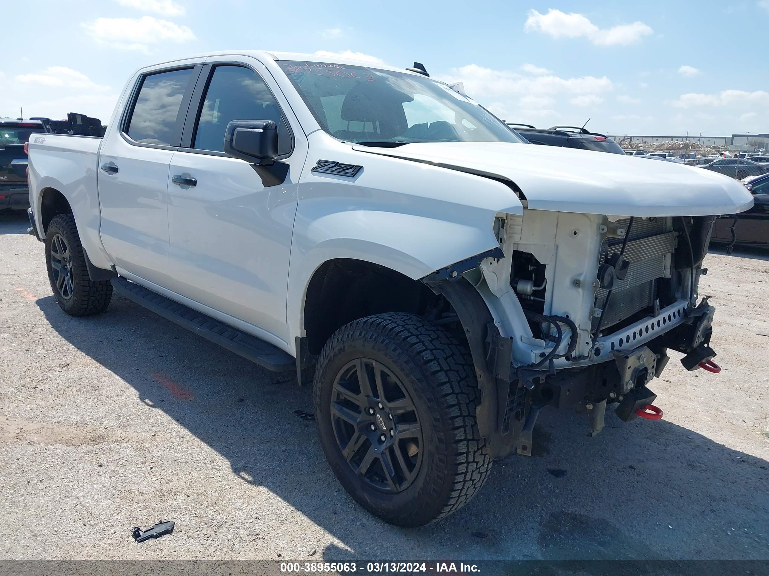 CHEVROLET SILVERADO 2021 1gcpyfed1mz201607