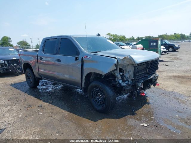 CHEVROLET SILVERADO 2021 1gcpyfed1mz230346