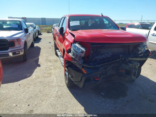 CHEVROLET SILVERADO 2020 1gcpyfed5lz119197