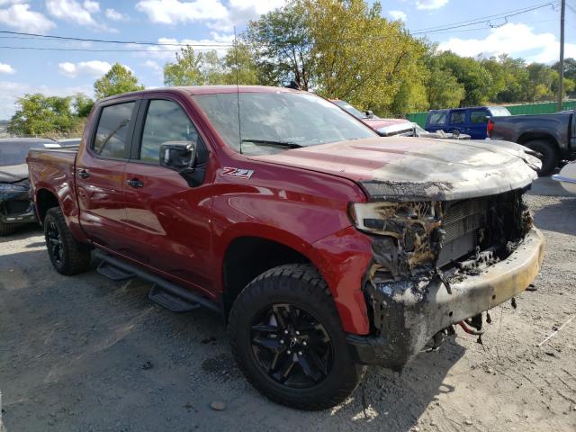 CHEVROLET SILVERADO 1500 2020 1gcpyfed5lz152880