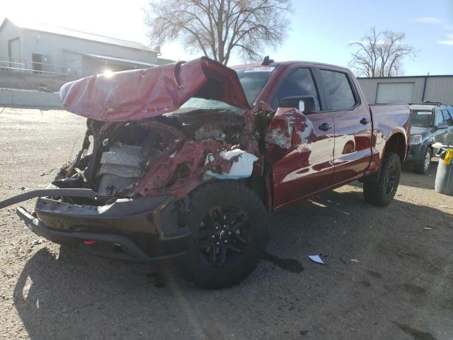 CHEVROLET SILVERADO 2020 1gcpyfed5lz318749