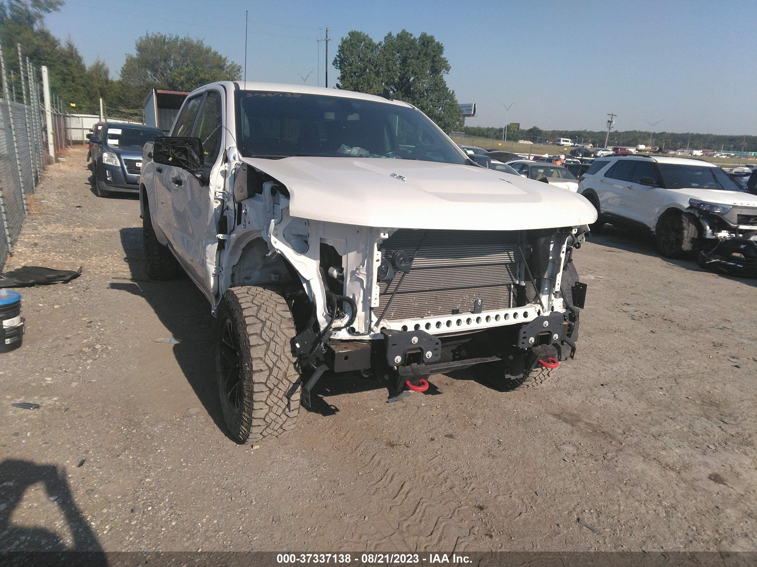 CHEVROLET SILVERADO 2021 1gcpyfel2mz201896