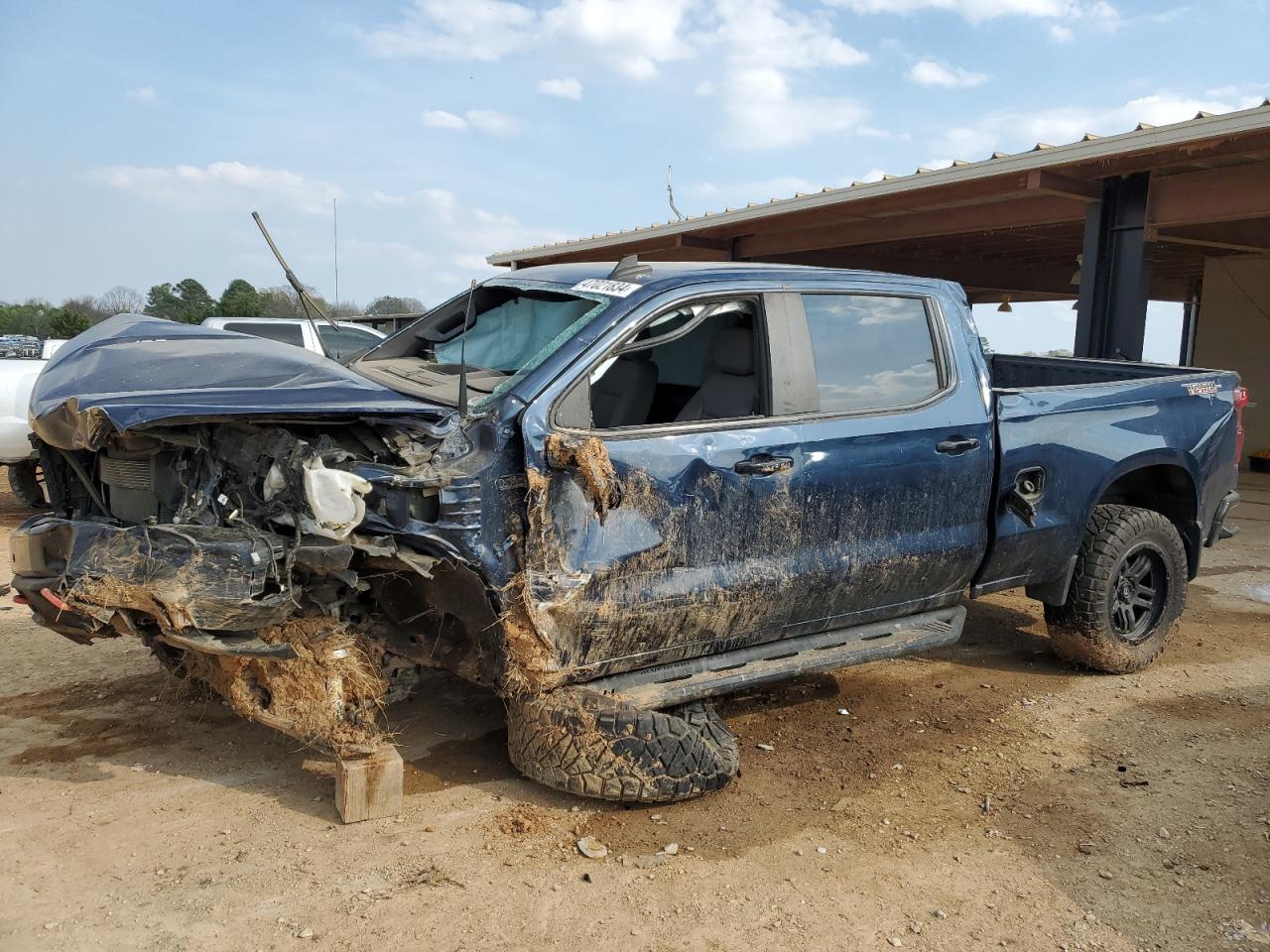 CHEVROLET SILVERADO 2020 1gcpyfel9lz199756