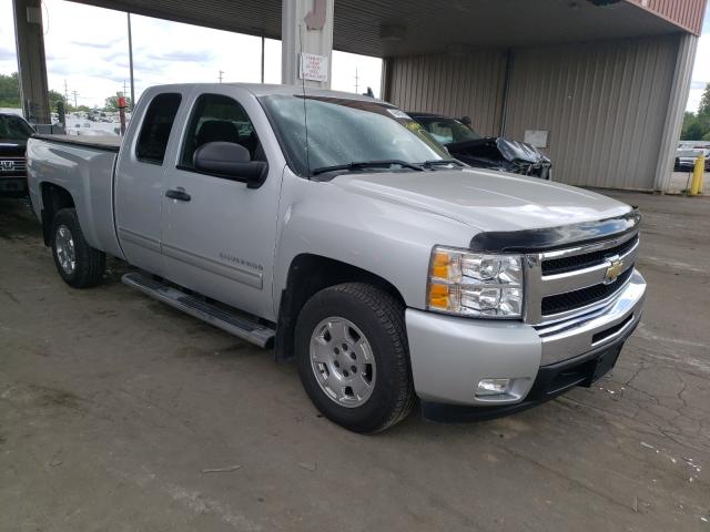 CHEVROLET SILVERADO 2011 1gcrcse03bz179488