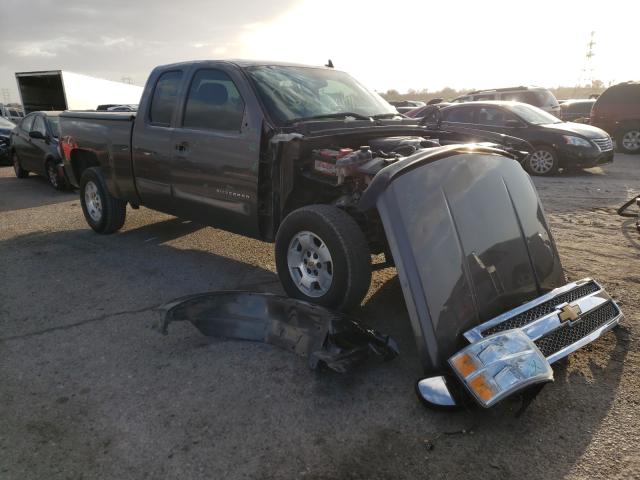 CHEVROLET SILVERADO 2013 1gcrcse03dz218230