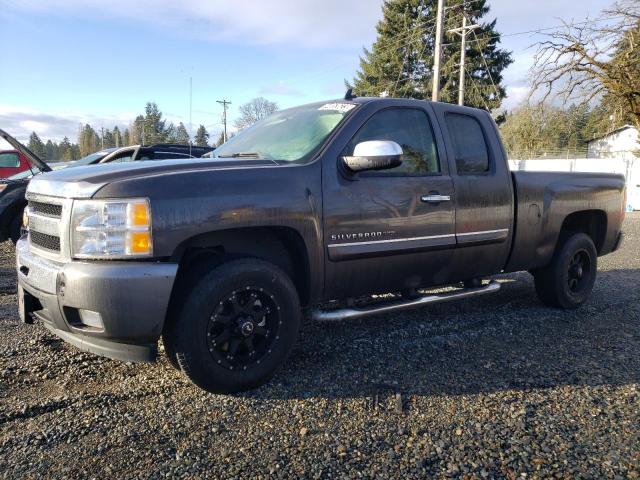 CHEVROLET SILVERADO 2011 1gcrcse04bz226978