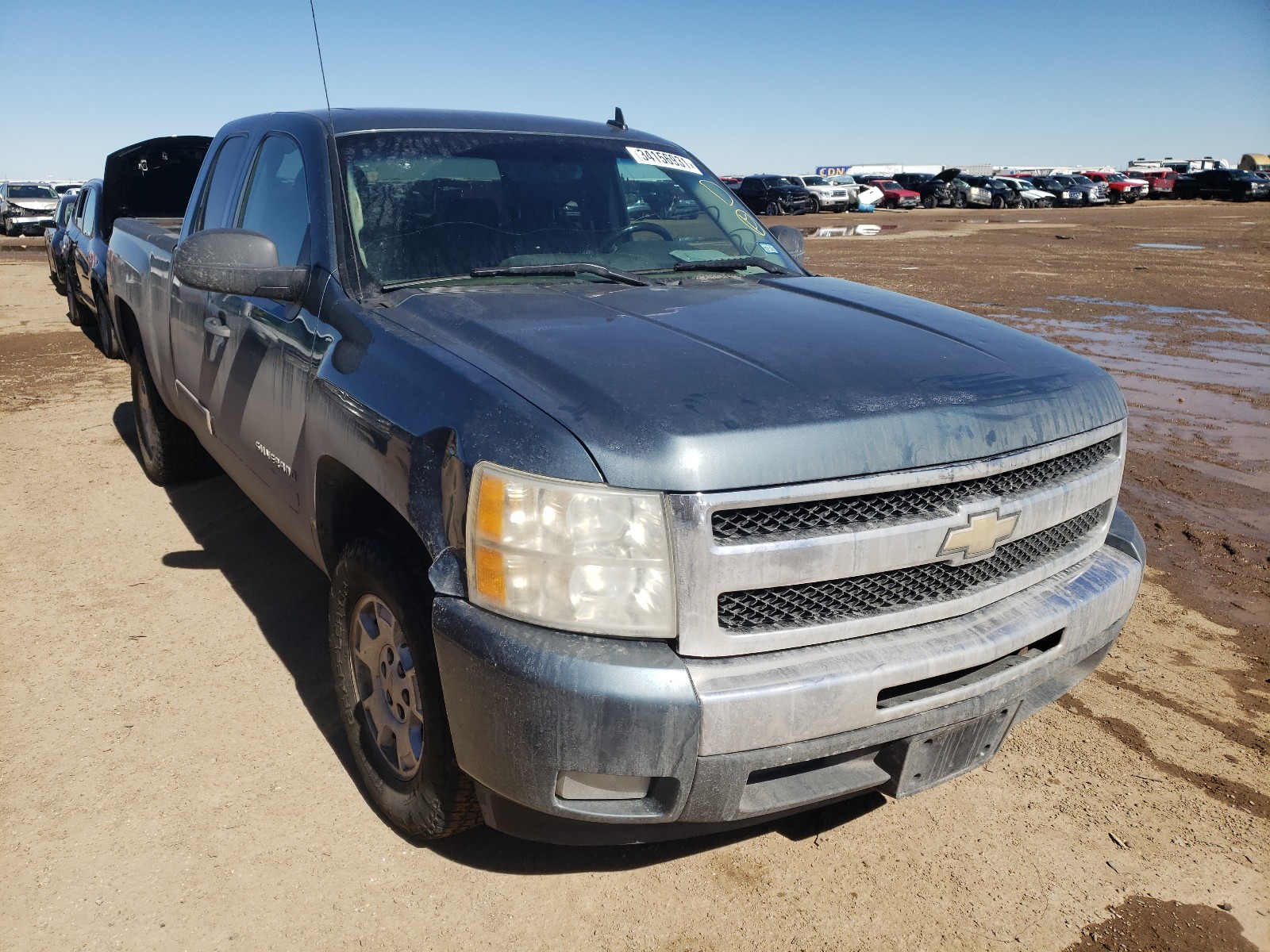 CHEVROLET SILVERADO 2011 1gcrcse05bz120989