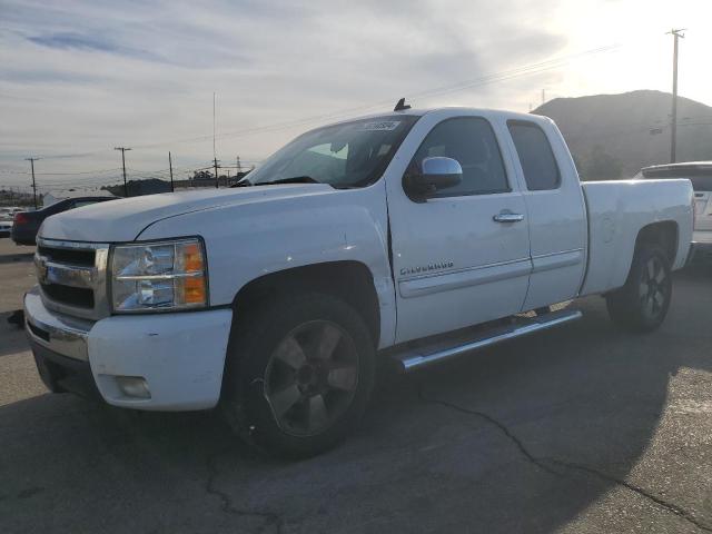 CHEVROLET SILVERADO 2011 1gcrcse05bz136562