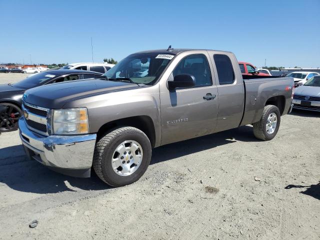 CHEVROLET SILVERADO 2013 1gcrcse07dz217484