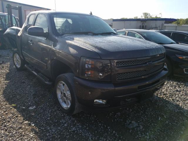 CHEVROLET SILVERADO 2011 1gcrcse08bz198019