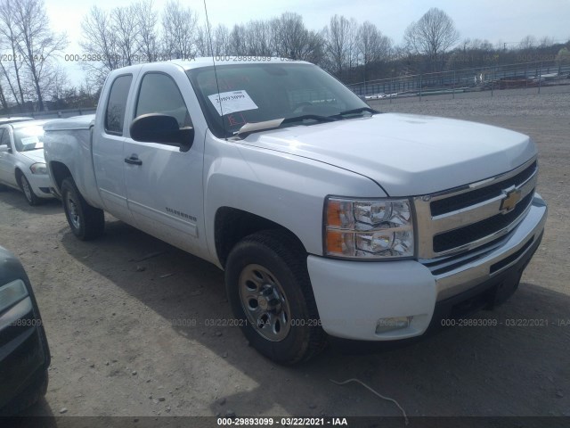 CHEVROLET SILVERADO 1500 2011 1gcrkse33bz368459