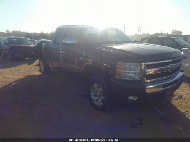 CHEVROLET SILVERADO 1500 2011 1gcrkse38bz253243