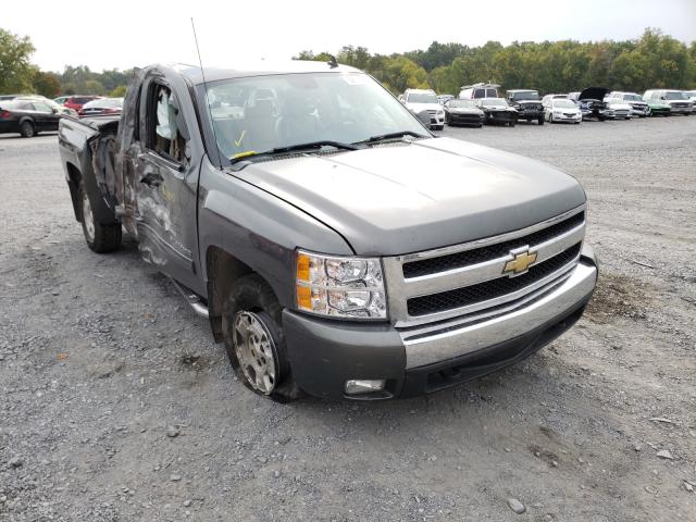 CHEVROLET SILVERADO 2011 1gcrkse3xbz452732