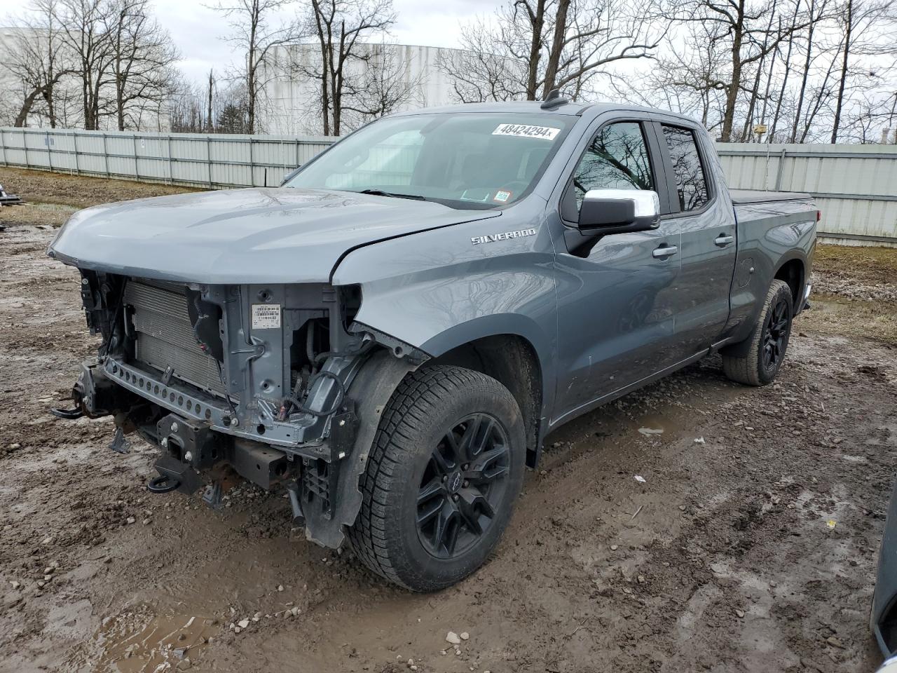 CHEVROLET SILVERADO 2019 1gcryded7kz390788