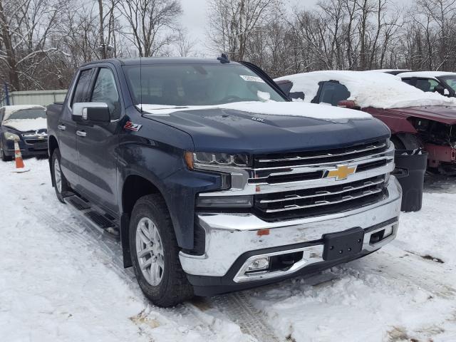 CHEVROLET SILVERADO 2019 1gcrygel9kz202894