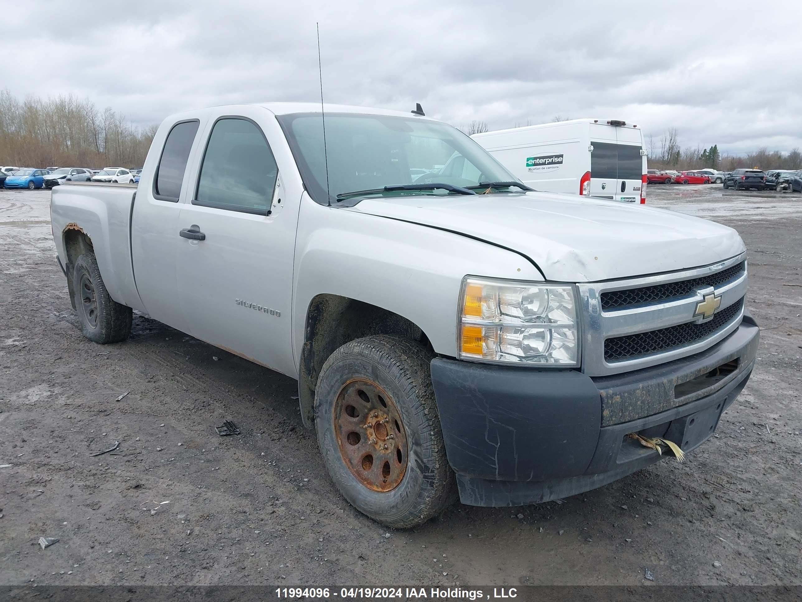 CHEVROLET SILVERADO 2010 1gcscpex8az262649