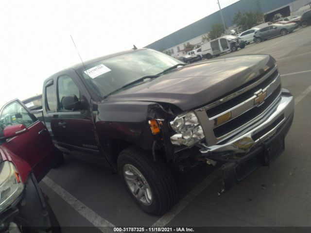 CHEVROLET SILVERADO 1500 2010 1gcscrea0az114681