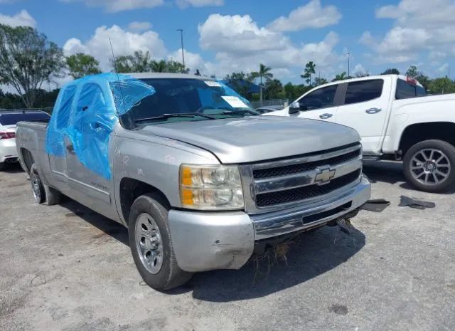 CHEVROLET SILVERADO 1500 2010 1gcscrea0az180910