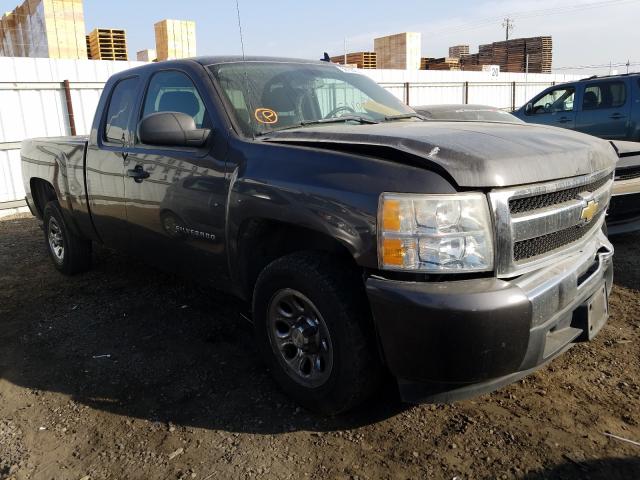 CHEVROLET SILVERADO 2010 1gcscrea2az273718