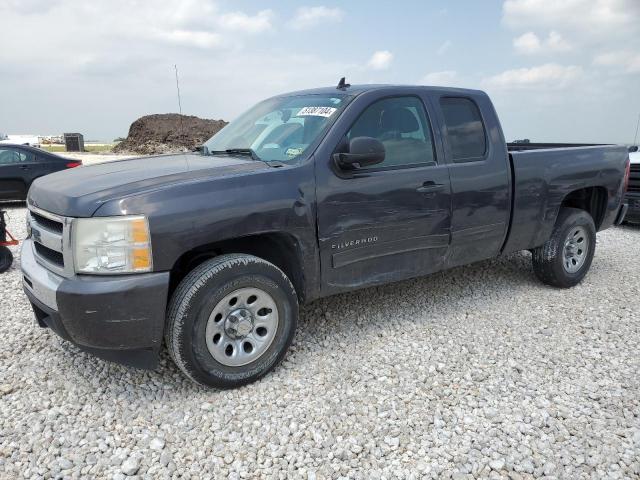 CHEVROLET SILVERADO 2010 1gcscrea7az287727