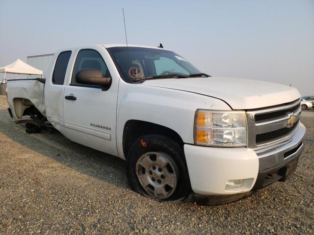 CHEVROLET SILVERADO 2010 1gcscse00az163880