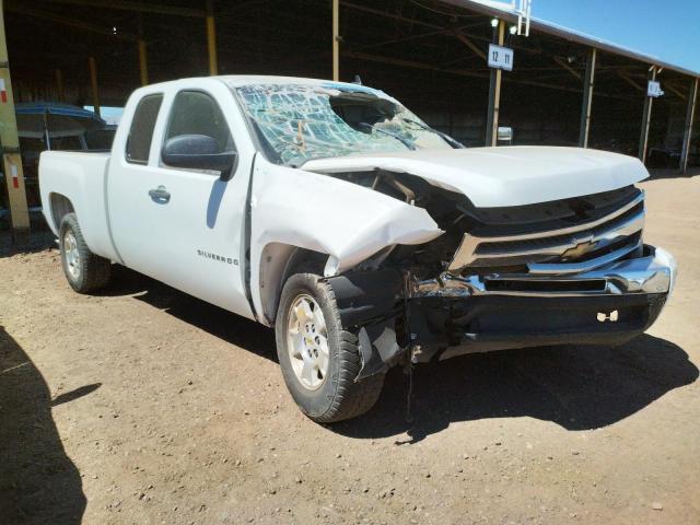 CHEVROLET SILVERADO 2010 1gcscse00az296476