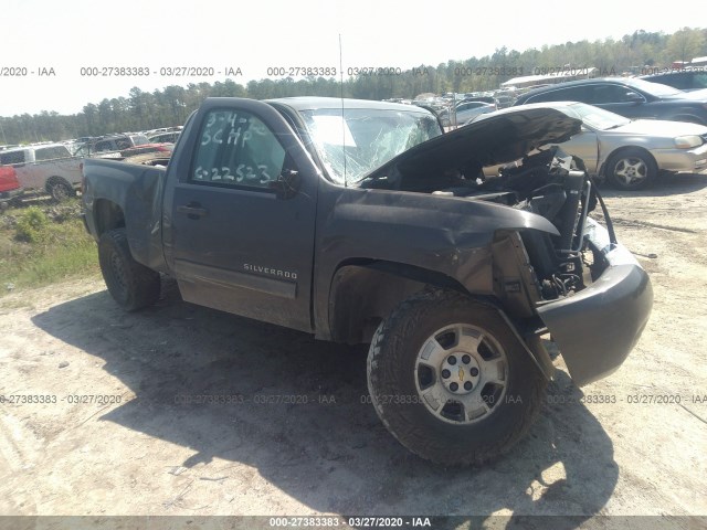 CHEVROLET SILVERADO 1500 2010 1gcscse03az206835