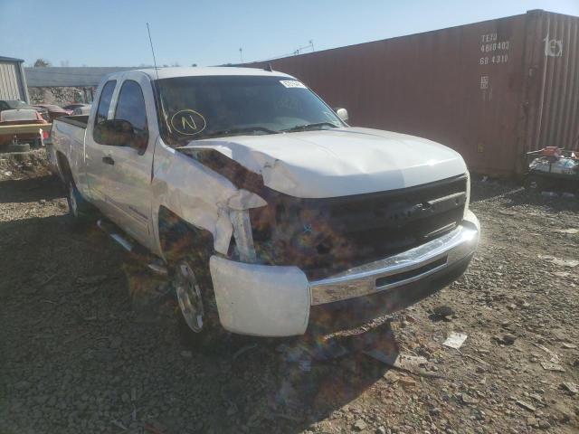 CHEVROLET SILVERADO 2010 1gcscse04az290504