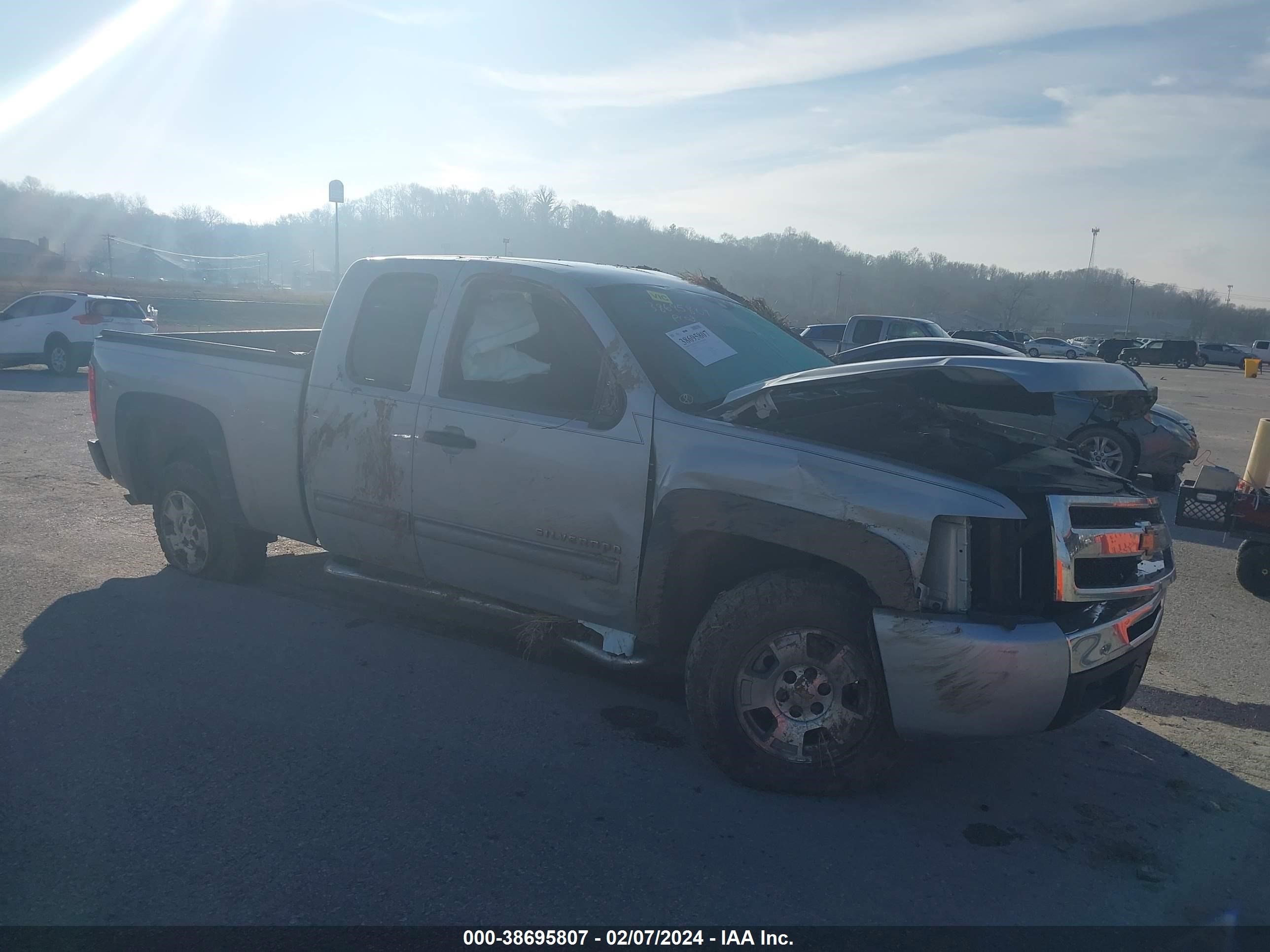 CHEVROLET SILVERADO 2010 1gcscse05az103464