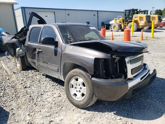 CHEVROLET SILVERADO 2010 1gcscse05az273257