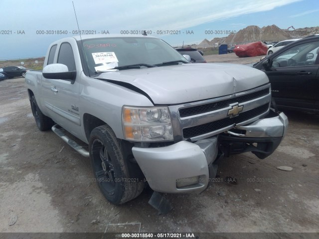 CHEVROLET SILVERADO 1500 2010 1gcscse06az291587