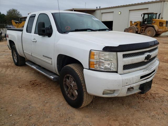 CHEVROLET SILVERADO 2010 1gcscse07az160376