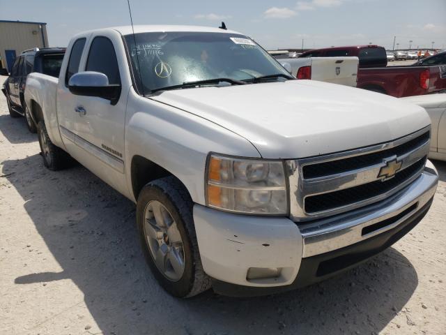 CHEVROLET SILVERADO 2010 1gcscse08az173461