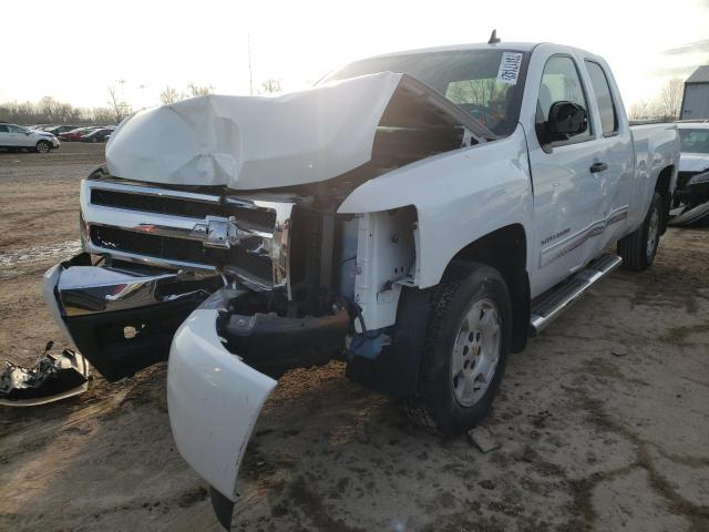 CHEVROLET SILVERADO 2010 1gcscse08az287492